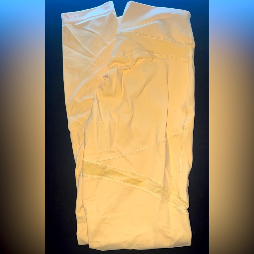 Whitney Simmons gym shark leggings